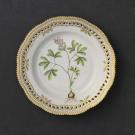 Royal Copenhagen, Flora Danica Dinner Plate With Open Border, Limited Edition