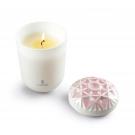 Lladro Light And Fragrance, Echoes Of Nature Candle. I Love You, Mom Scent