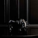 Lalique Rhinoceros Sculpture, Black