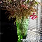 Lalique Merles et Raisins 8.75 Vase, Green