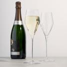 Spiegelau Definition 9 oz Champagne Glass, Pair
