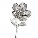 Waterford Crystal Fleurology Flower, Rose
