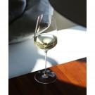 Cashs Ireland Vino Grand Cru White Wine Glasses, Pair