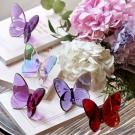 Baccarat Crystal, Lucky Butterfly, Iridescent