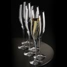 Waterford Crystal, Elegance Classic Champagne Toasting Flutes, Set of Six