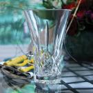 Waterford Crystal, Treasures of the Sea Lismore 8" Flared Vase, Clear