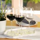 Spiegelau Salute 19.4 oz Red Wine Glass Set of 4