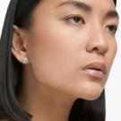 Swarovski Angelic Stud Pierced Earrings, White, Gold
