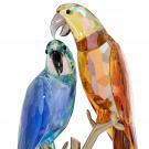 Swarovski Jungle Beats, Parrot Couple