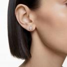 Swarovski Millenia Stud Earrings, Trilliant Cut Crystal, White, Rhodium Plated