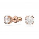 Swarovski Constella Round Cut Crystal with Rose Gold Stud Pierced Earrings