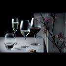 Orrefors More Wine Glass, Set of Four