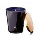 Ralph Lauren Pied A Terre Single Wick Candle