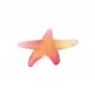 Daum Coral Sea Amber Red Starfish Sculpture