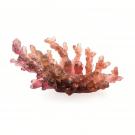 Daum 9.1" Coral Sea Amber Red Bowl