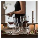Schott Zwiesel Wineshine Prizma Cabernet Wine Glass, Single