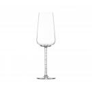 Schott Zwiesel Journey Champagne Glass with with Effervescent Point, Single