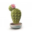 Lladro Light And Fragrance, Opuntia Cactus Diffuser. Gardens Of Valencia Scent