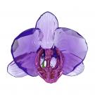 Swarovski SCS 2024 Orchid Petal