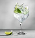 Orrefors Gin and Tonic Crystal Glasses, Set of Four